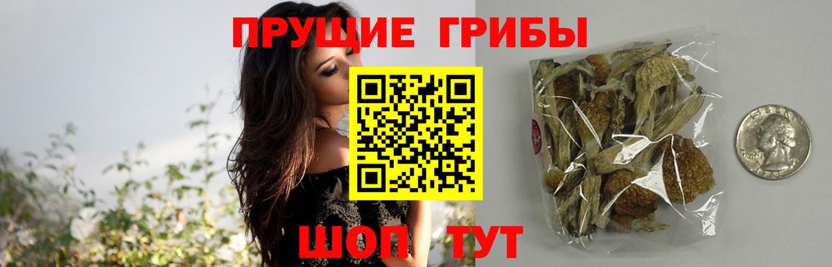 Галлюциногенные грибы Magic Shrooms  Галлюциногенные грибы мицелий  Вход с VPN  Алатырь 